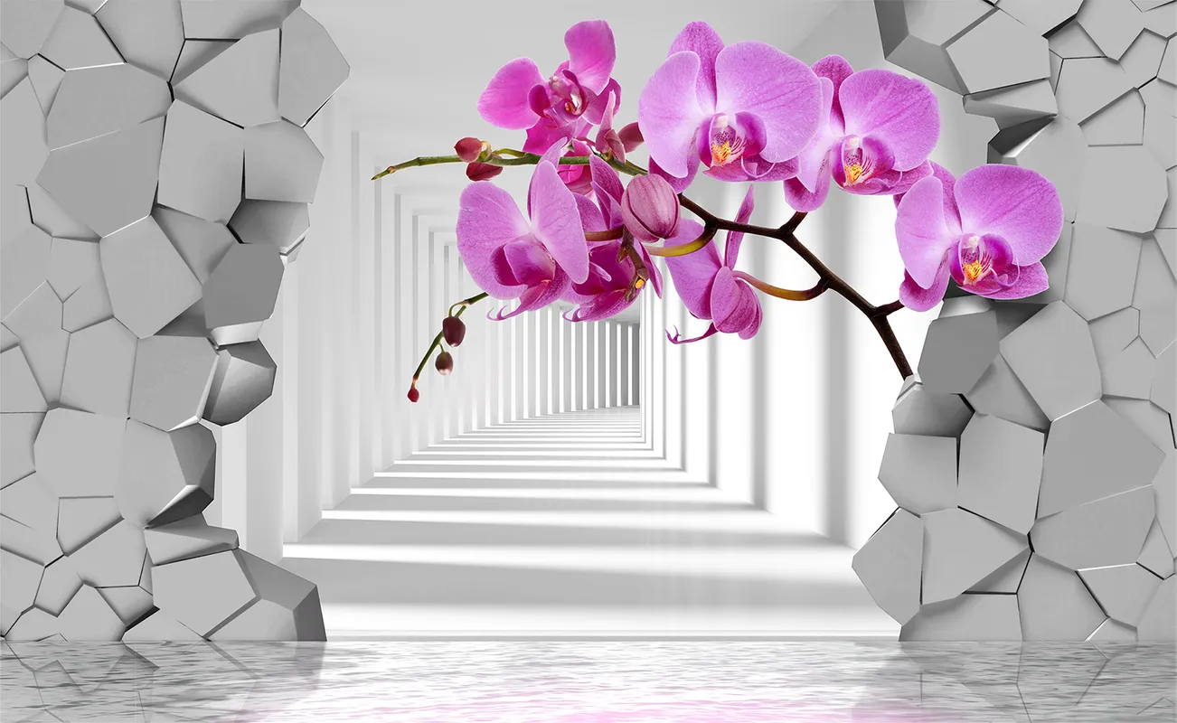 3d, 3д, стена, орхидея, розовый, фиолетовый, камни, коридор, перспектива