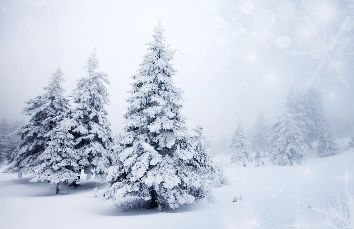 снег, горы, деревья, снежинки, белые, природа, светлые