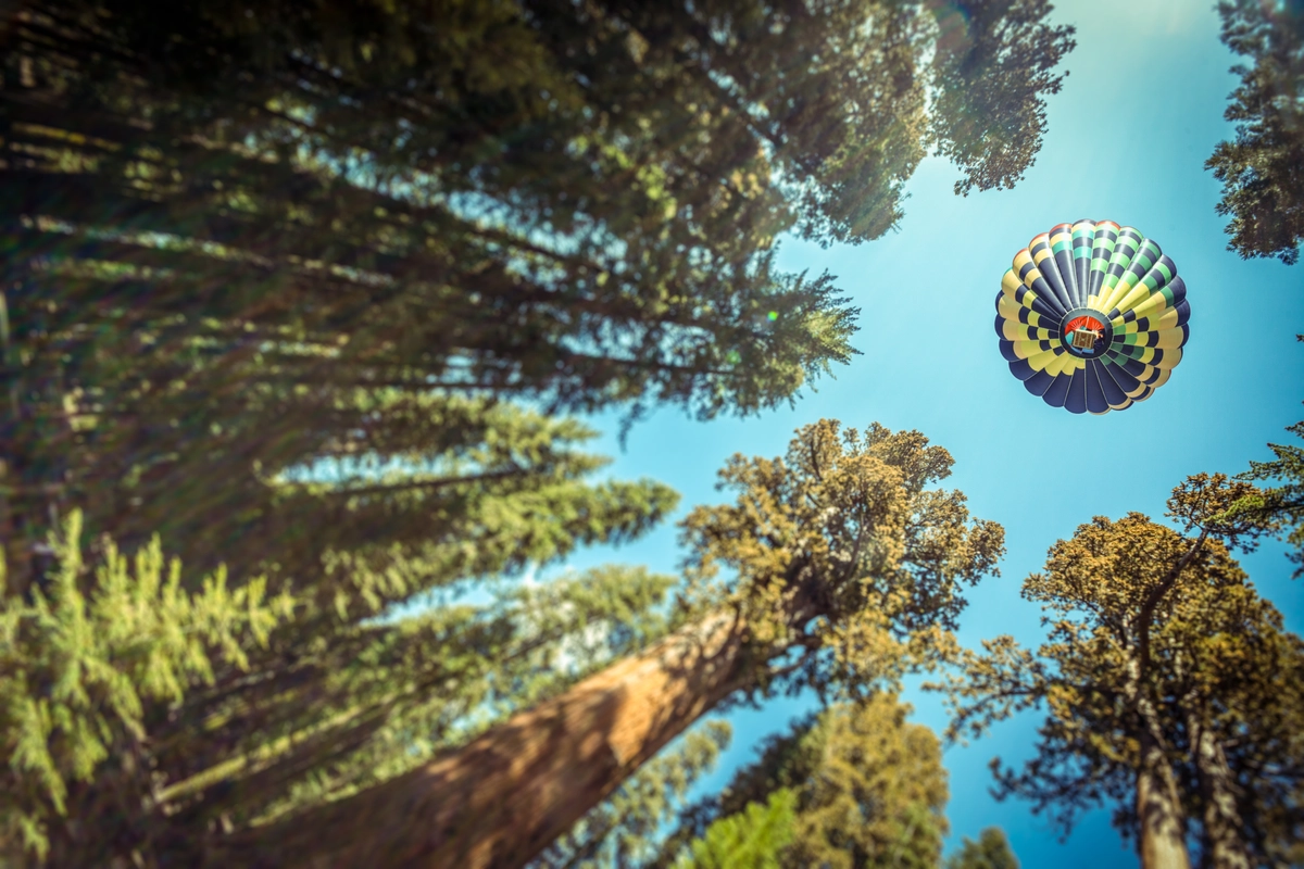 воздушный шар, лес, деревья, природа, небо, голубые, коричневые, зеленые