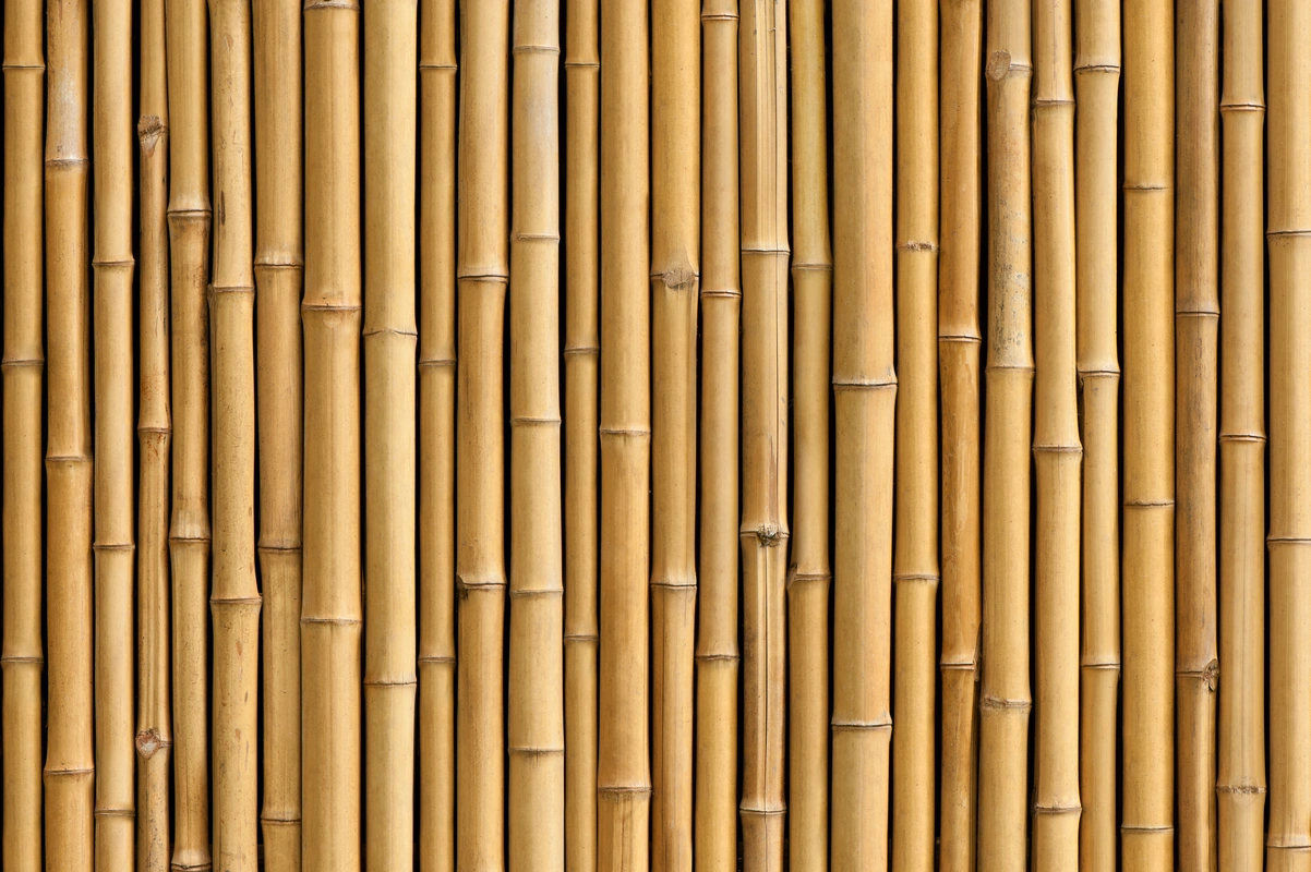 текстура, бамбук, забор, коричневые, ствол, природа