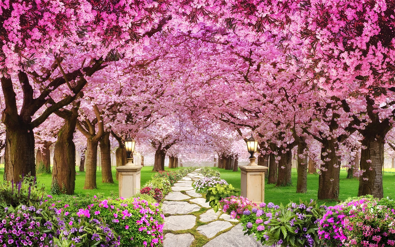 япония, сакура, сад, лес, розовые, зеленые, коричневые, бежевые, HD