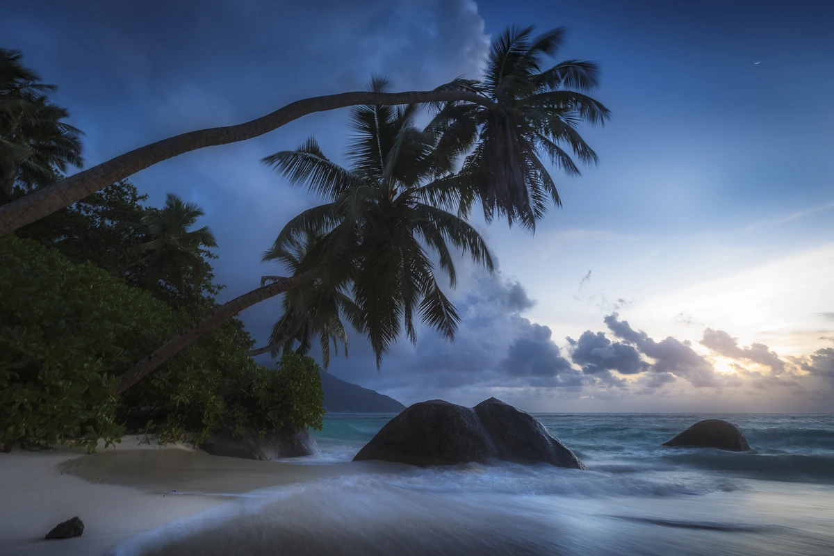 океан, вечерние тропики, природа, море, пальмы, облака, голубые