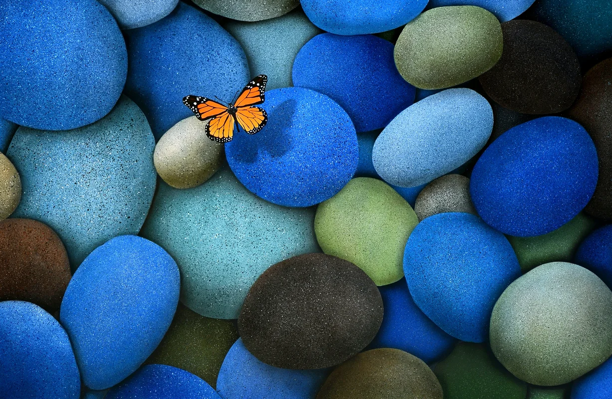 голубые, коричневые, камни, бабочка