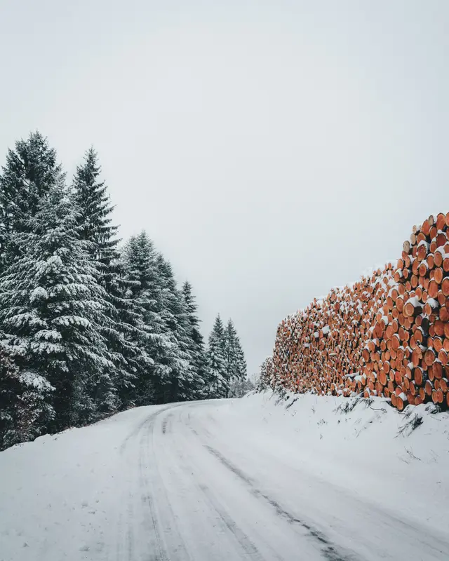 дорога, зима, зимний лес, деревья, елки, сосны, бревна, снег, белые