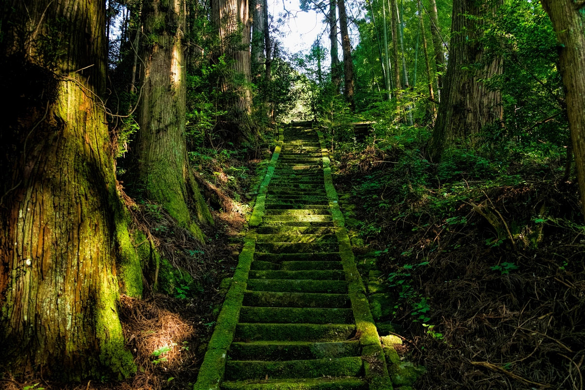 япония, асо, храм, лестница, мосс, зеленые