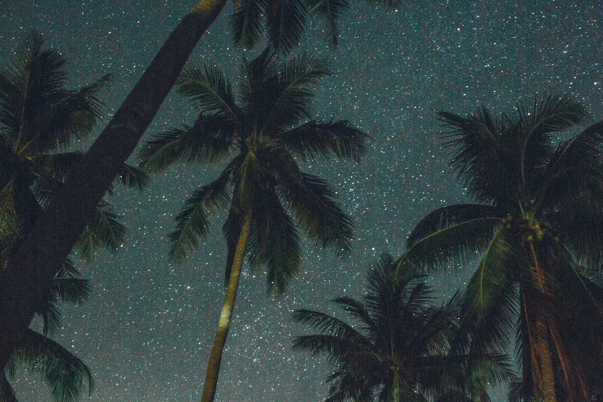 звездное небо, ночь, пальмы, пальма, небо, звезды, зеленый, бирюзовый, коричневый, зеленые, бирюзовые, коричневые