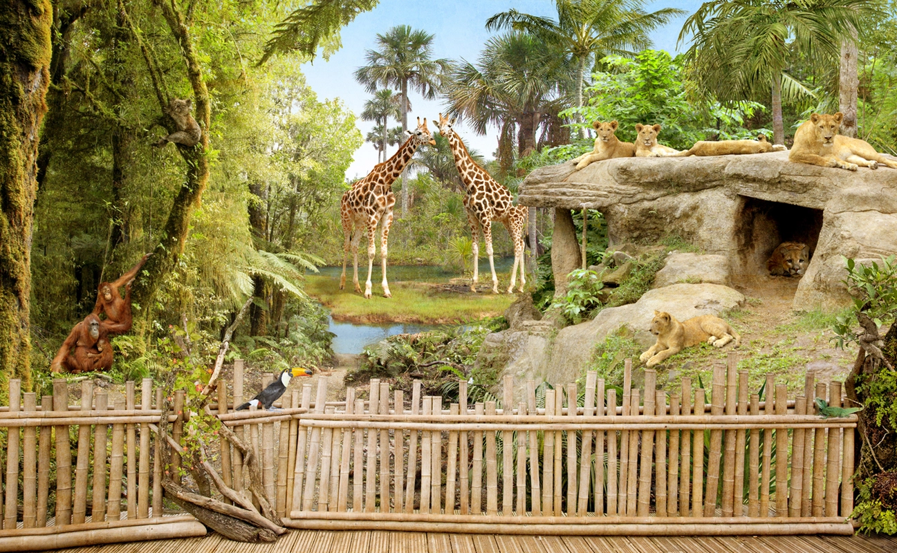 зоопарк, детские, жираф, львицы, обезьяна, животные, лес, забор, коричневый, бежевый, зеленый
