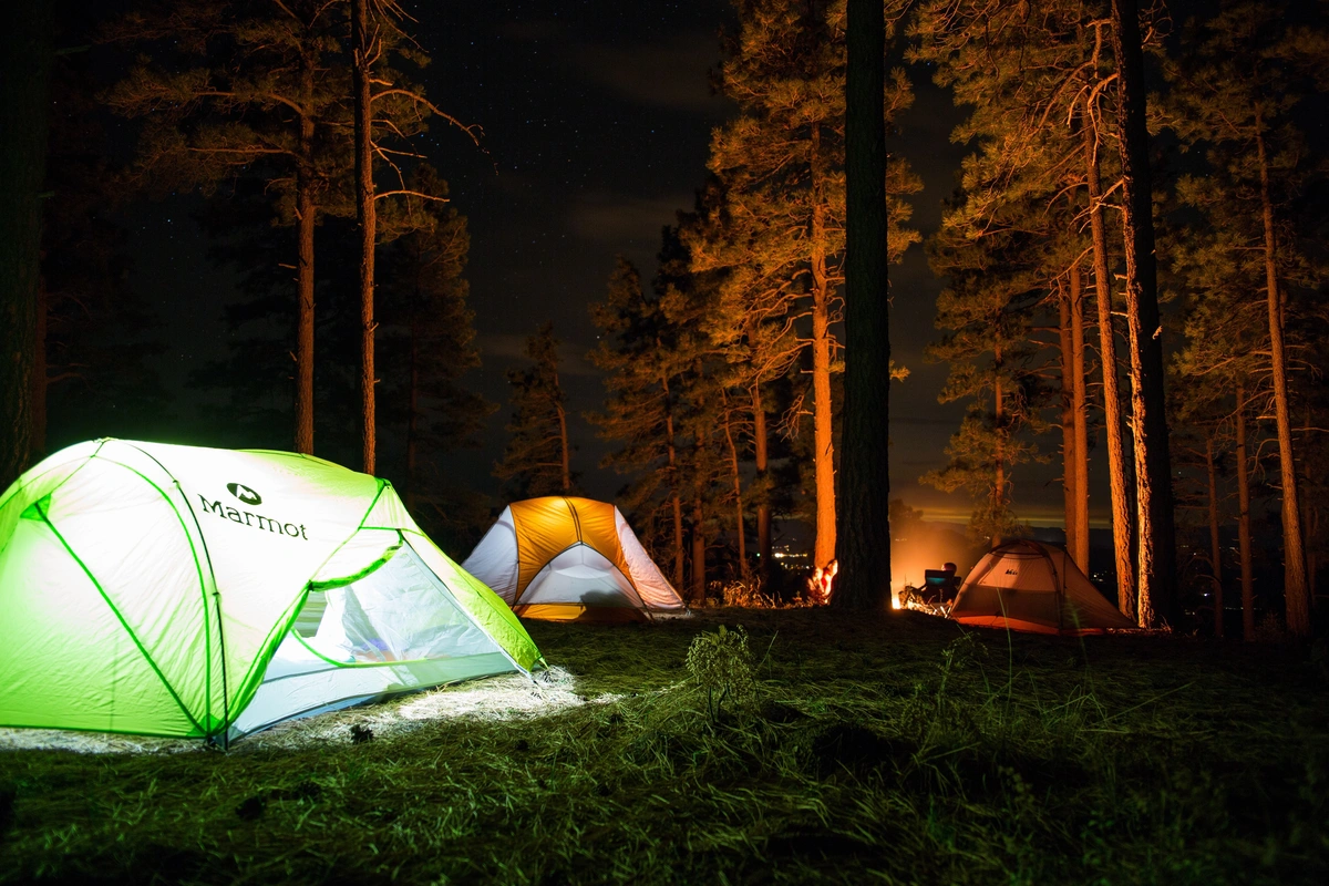 лес, поход, спорт, туризм, отдых, привал, ночлег, палатки, лагерь, кемпинг, ночь, огни, сосны, темные, зеленые, оранжевые