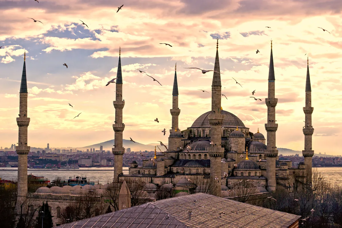 Стамбул, голубая мечеть, архитектура, чайки, птицы, желтые