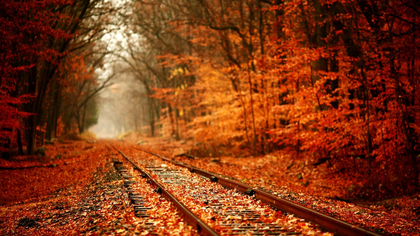 природа, лес, осень, листва, дорога, рельсы, оранжевые, красные