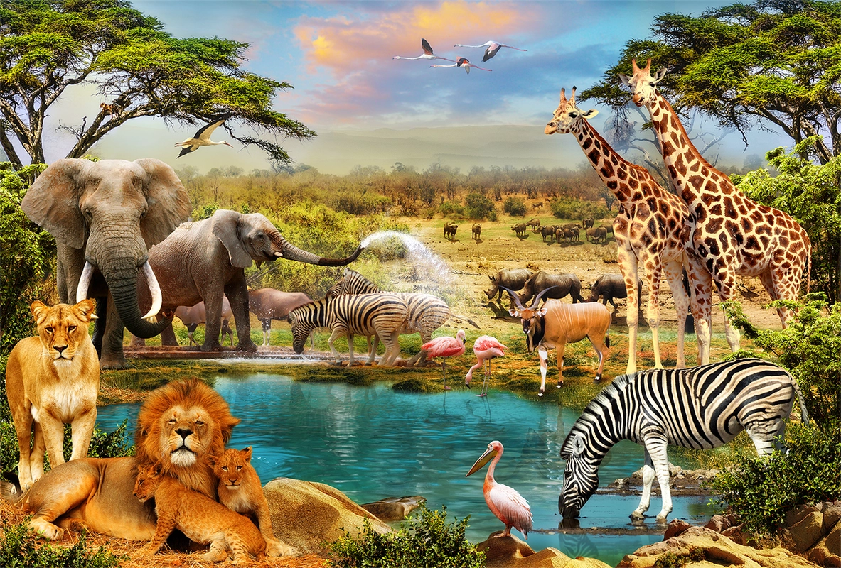 животные, сафари, детские, слон, лев, зебра, жираф, фламинго, поле, пастбище, пруд, зеленый, голубой, коричневый, серый, оранжевый, небо
