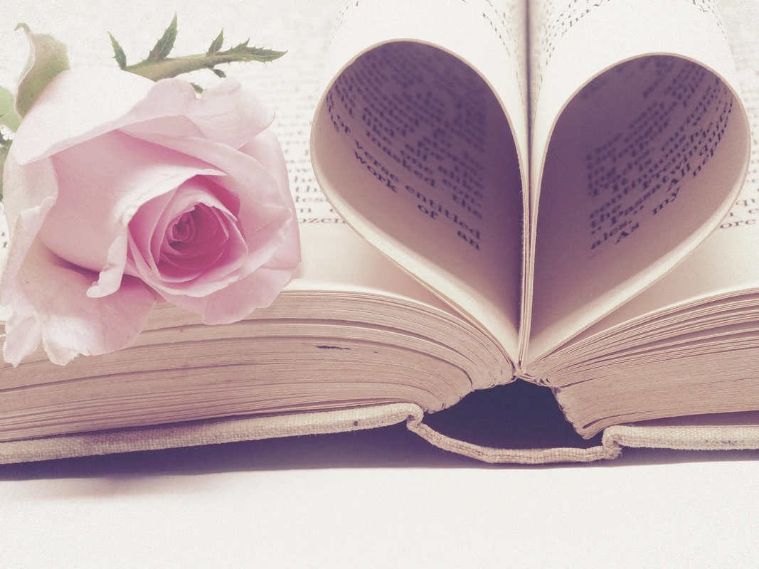 книга, роза, лирика, любовь, сердце, светлые, пастельные, розовые, бежевые