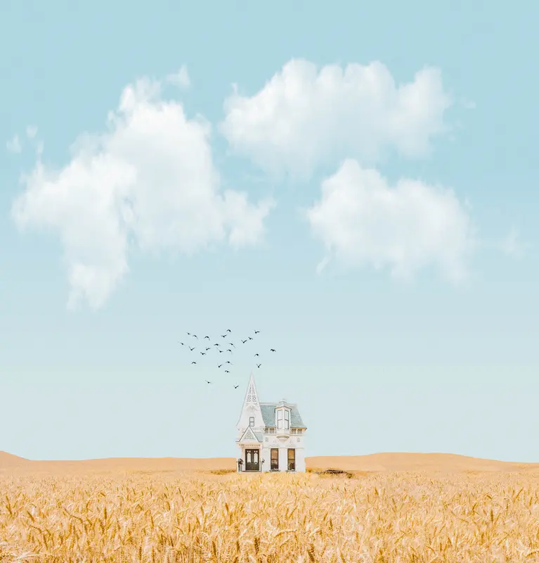 небо, поле, пшеница, птицы, дом, домик, сказочные, детские, голубые