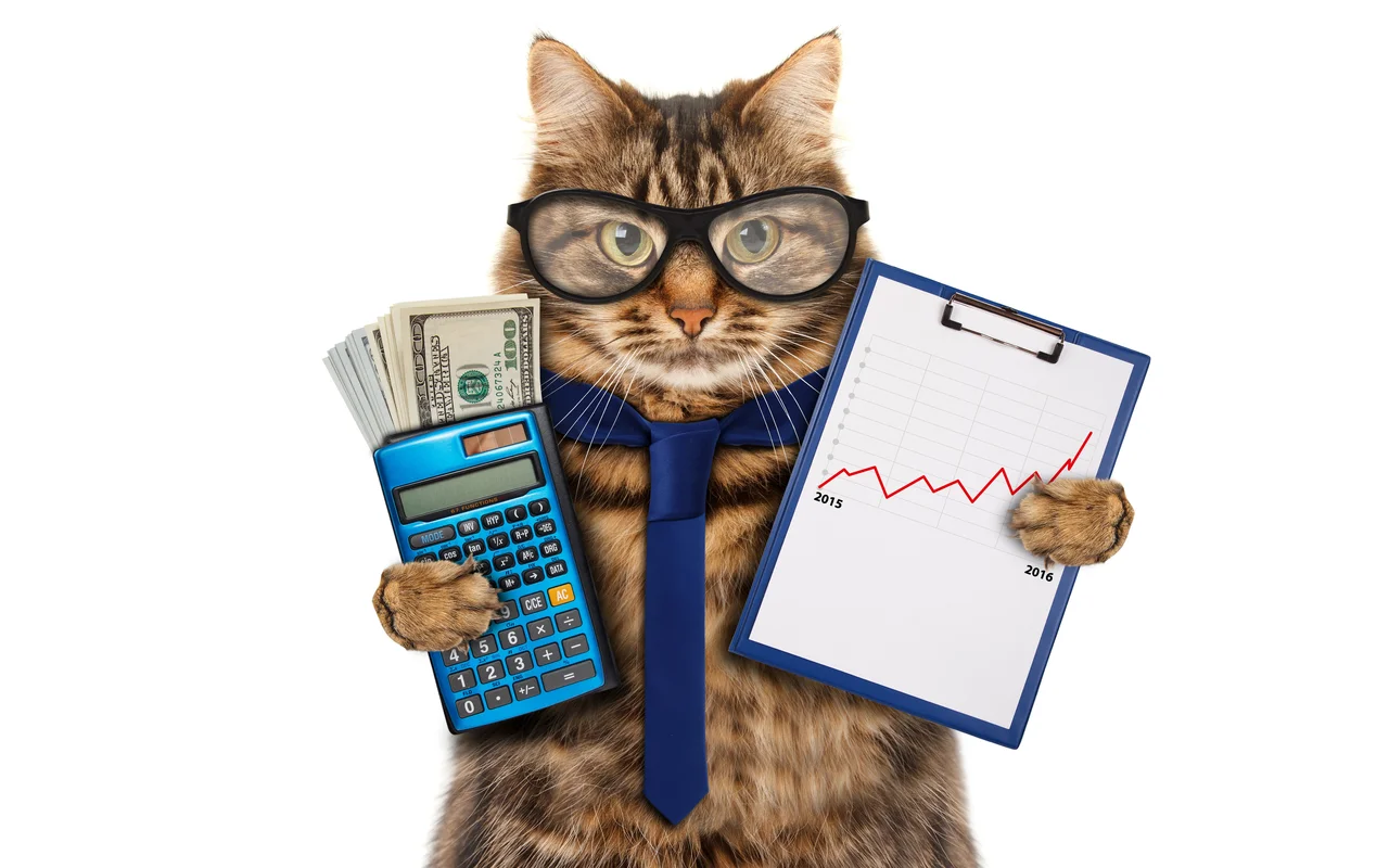 животное, кот, юмор, детские, постер, синие, голубые, белые, галстук, очки, деньги, калькулятор, график