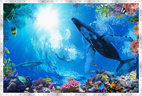 подводный мир, рыбы, кит, акула, дельфин, животные, кораллы, потолок, потолочные, синие