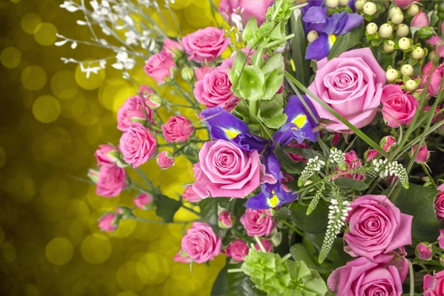 цветы, букет, розовые, зеленые, фиолетовые