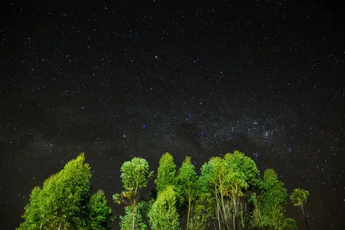 ночное небо, звезды, звездное небо, ночь, природа, лес, деревья, зеленый, черный, зеленые, черные