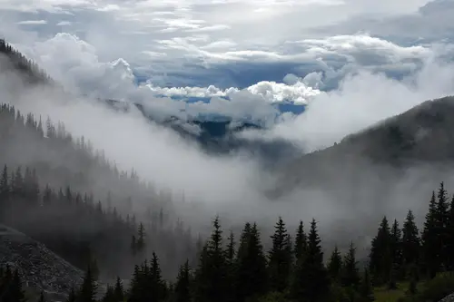 туман, облака, природа, пейзаж, лес, холм, холмы, белый, черный, белые, черные, горы, серый, серые