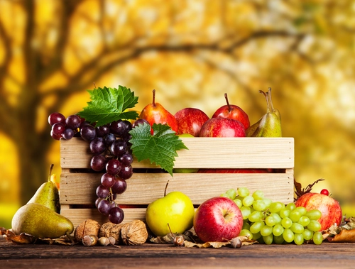 фрукты, урожай, еда, осень, бежевые, фиолетовые, оранжевые, коричневые