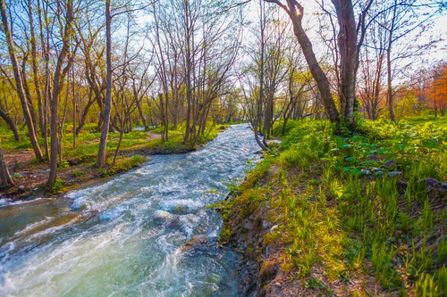 поток, река, природа, лес, зеленые, коричневые, весна, голубые