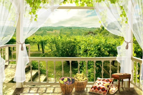 балкон, зановески, виноград, деревья, плонтация, зелёные, белые