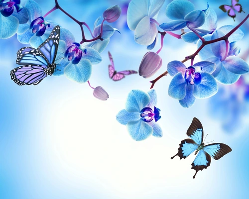 растения, цветы, орхидеи, бабочки, ветви, голубые