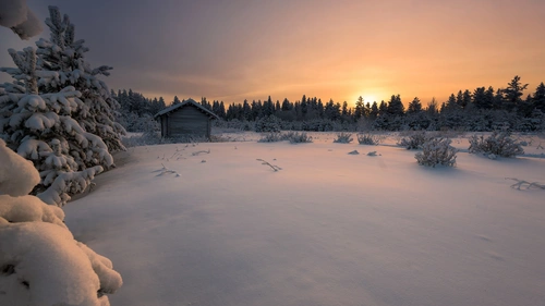 зима, поле, снег, лес, хижина, финляндия, желтые