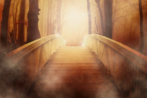 мост, мостик, лес, оранжевый, оранжевые, бежевый, бежевые, коричневый, коричневые, туман