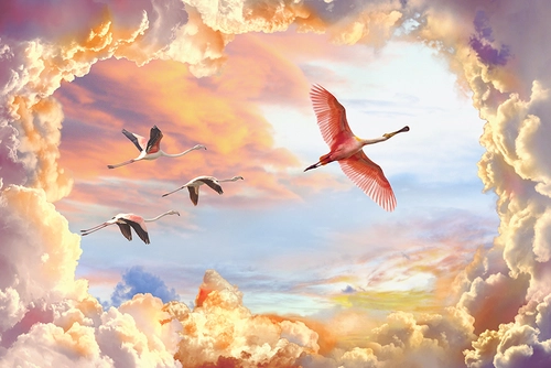 фламинго, небо, облака, клин, птицы, потолок, потолочные, светлые, розовые, бежевые, оранжевые