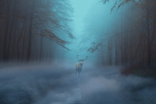 лес, туман, олень, дорога, голубые, зелёные