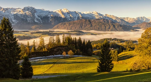 Австрия, горы, луга, Альпы, ели, туман, зелёные