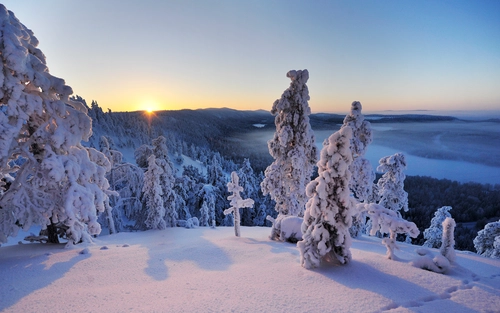 горы, снег, зима, деревья, финляндия, белые, розовые, желтые