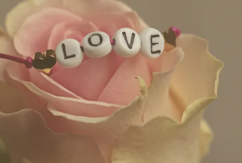 любовь, love, надпись, роза, цветы, романтичные, бежевые, розовые, белые