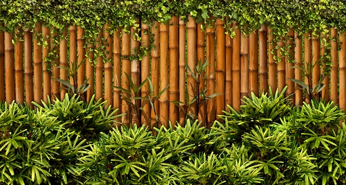 бамбук, цветы, кустарник, зелёные, коричневые