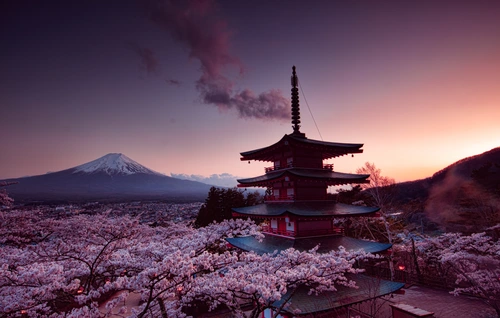 пагода, сакура, фудзияма, гора, япония, фиолетовые, розовые, темные, синие