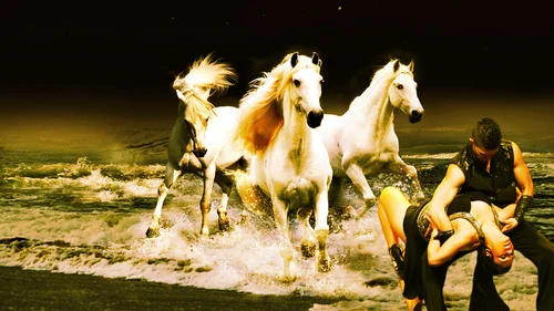 животные, кони, лошади, молодая пара, танец, море, волны, ночь, небо, чёрные, белые, бежевые
