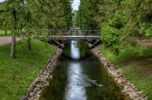 парк, природа, река, мост, ручей, санкт-петербург, зеленые, коричневые