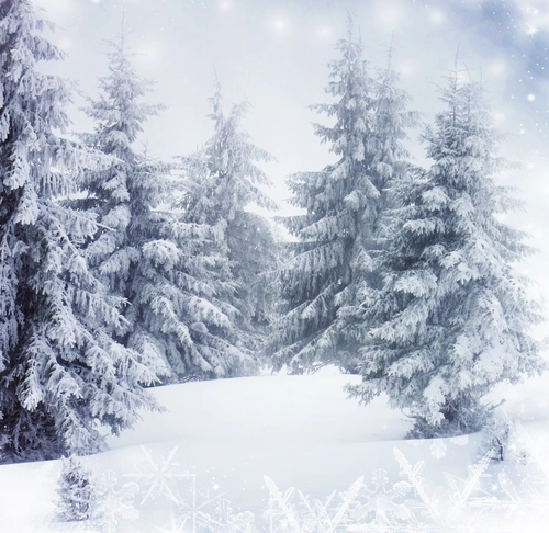 деревья, снежинки, снег, зима, черные, серые, белые