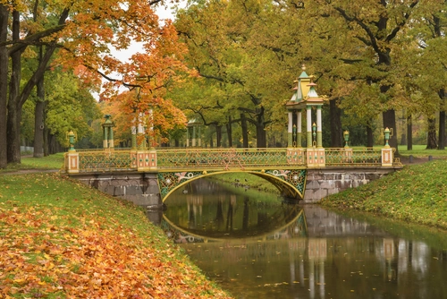 мост, река, парк, природа, санкт-петербург, желтые, коричневые, зеленые