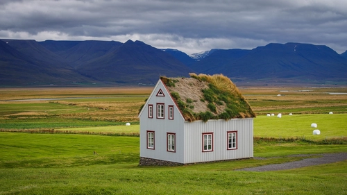 дом, поле, луг, крыша, трава, зеленые
