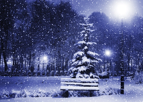 фонарь, парк, скамейка, зима, ночь, черные, синие, белые