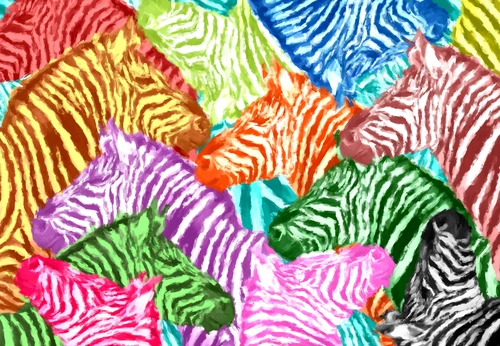 зебра, животные, абстракция, абстрактные, цветные, разноцветные