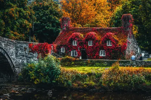 дом, цветы, осень, пейзаж, красный, желтый, оранжевый, зеленый, серый, красные, желтые, оранжевые, зеленые, серые, мосток, пруд