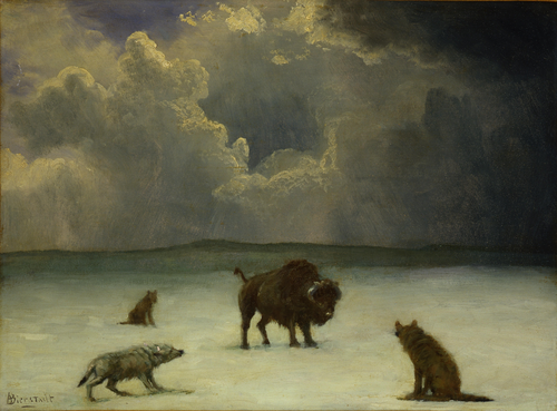 охота, волк, бизон, животные, картина, тучи, живопись, черные, серые