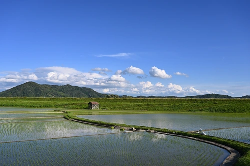 поле, япония, гора, рис, природа, синие, зеленые