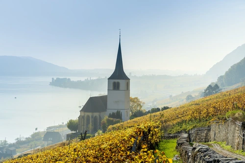 Озеро, виноградник, церковь, Швейцария, Биль, туман
