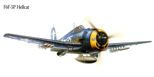 самолёт F6F 5P, техника, детские, пилот, крылья, снаряды, полёт, белые, голубые