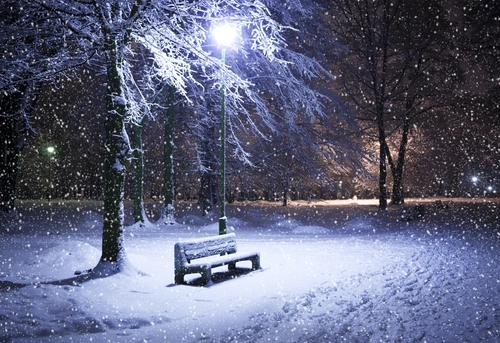 снег, зима, парк, белые, синие, скамейка, ночь, вечер, черные