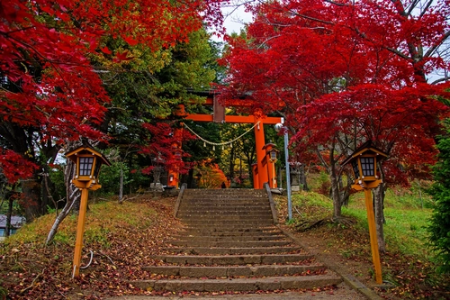 ворота, храм, япония, красные, лес, зеленые