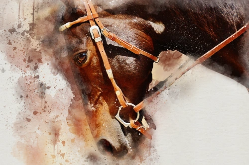 лошадь, конь, животные, звери, коричневые, рисунок, живопись, краски, акварель, гнедой, бежевые, капли